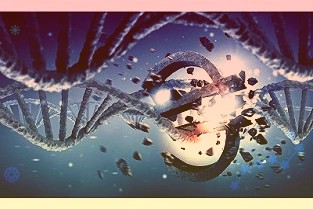 明月镜片:公司偏光近视系列产品目前主要作为户外及驾驶用的近视太阳镜也可应