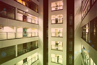 上市公司应通过高质量发展回报投资者